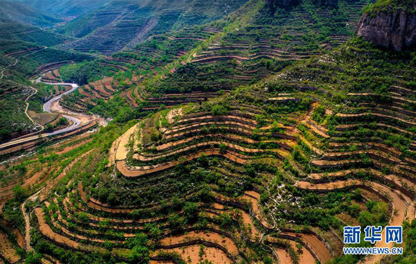 Fotografi Udara Terasering Sawah Hebei