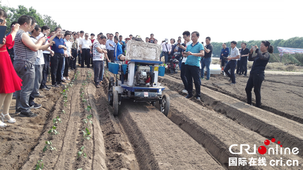 图片默认标题_fororder_展示蔬菜移栽