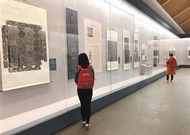 西安碑林藏北朝墓志特展开展  11件墓志实物首次与观众见面