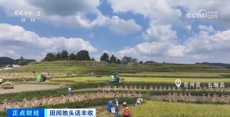 秋收正当时!新质生产力赋能农业生产 绘就金秋好“丰”景