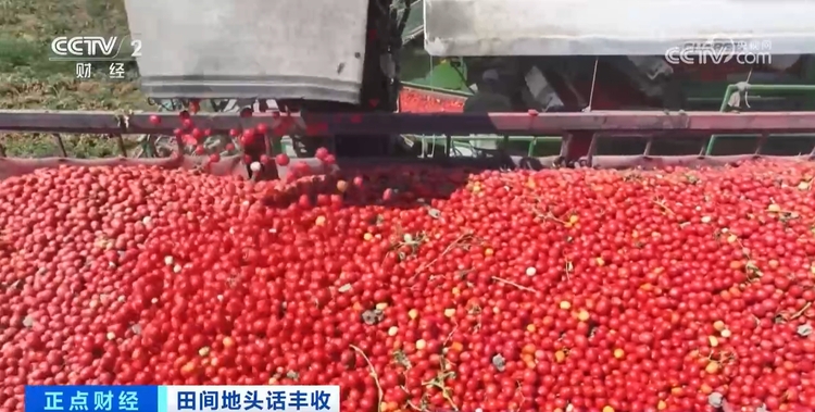 秋收正当时!新质生产力赋能农业生产 绘就金秋好“丰”景
