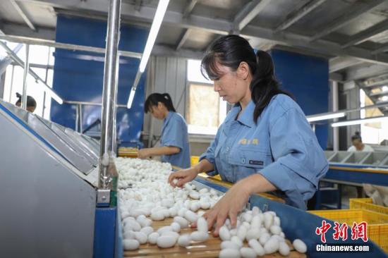 #中新网#前三季度贫困地区农村居民人均可支配收入8163元