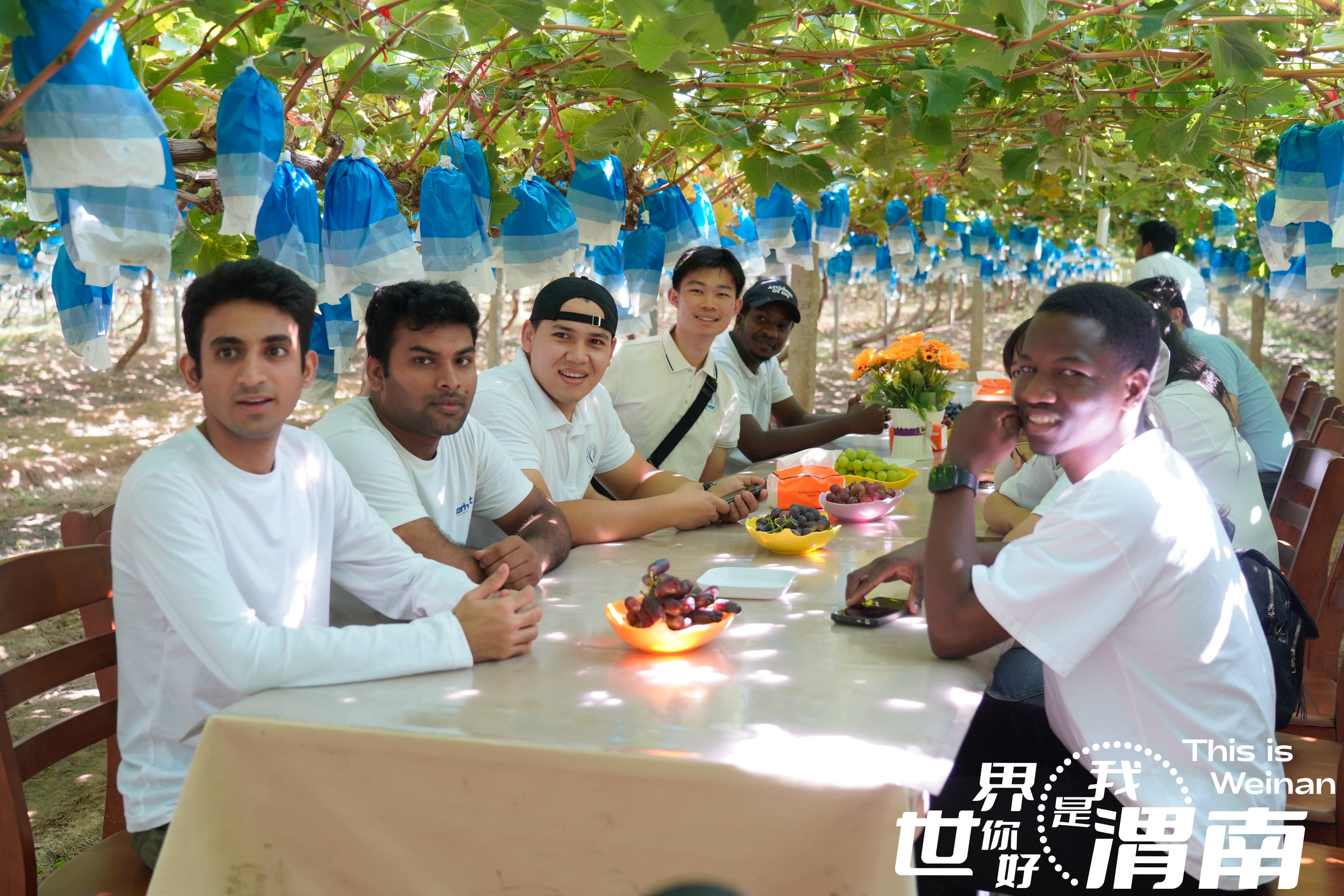 机遇中国 共享“渭”来|国际观察员见证渭南乡村振兴新画卷_fororder_33