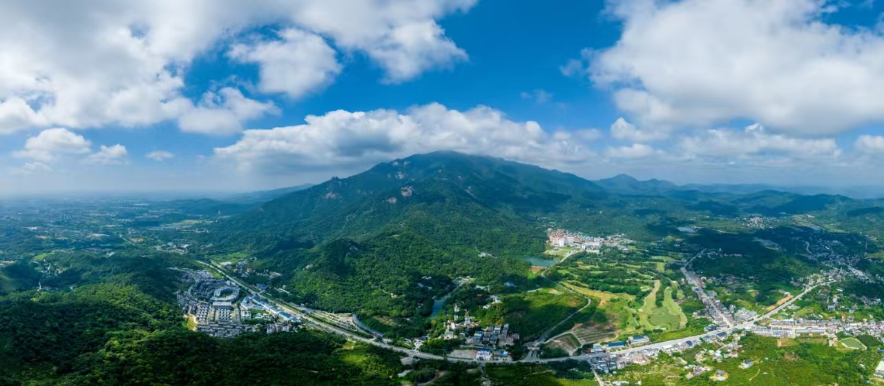 湾区博罗,共赢未来!博罗仿生智能产业招商推介会在深举行_fororder_yhjeaks2xh99shfe17249132941848957