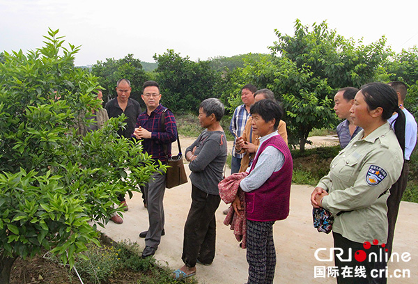 图片默认标题_fororder_专家服务团队走进白庙镇