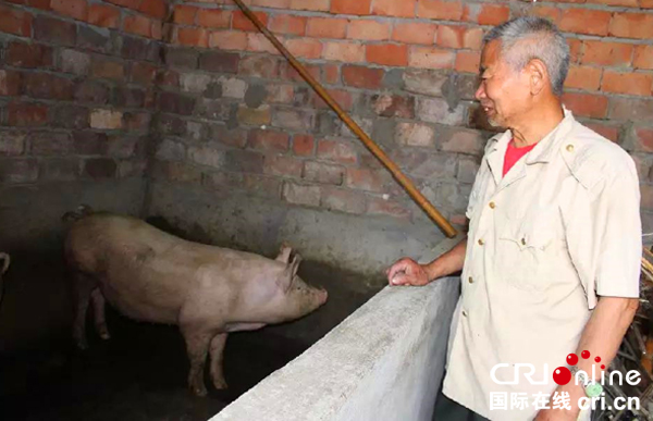 图片默认标题_fororder_看着圈里的猪一天比一天大，杨希洪老人露出欣慰的笑容