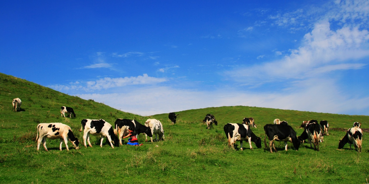 湖南城步:加快现代化文旅建设 绘就文旅融合发展新画卷_fororder_图片11