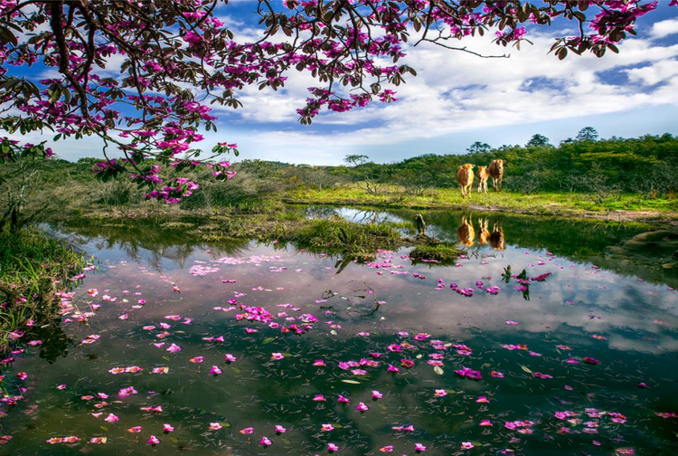 湖南城步:加快现代化文旅建设 绘就文旅融合发展新画卷_fororder_图片12