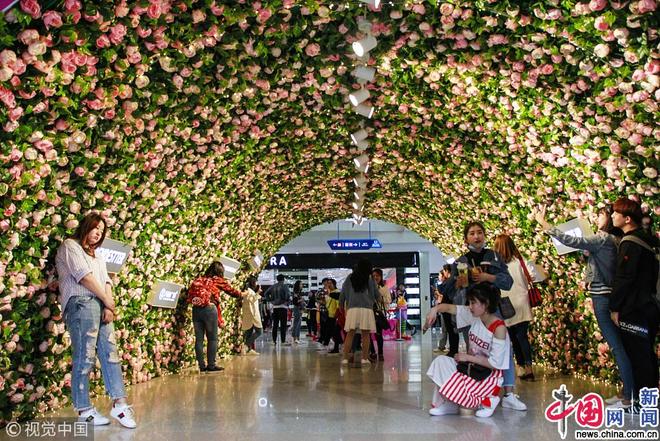 图片默认标题_fororder_hualu