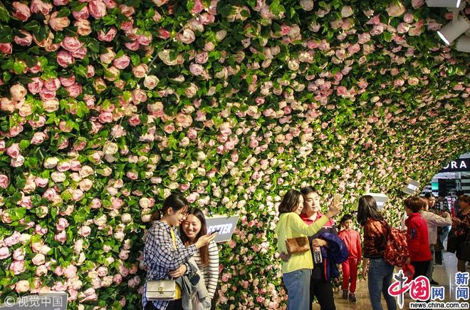 图片默认标题_fororder_hualu2