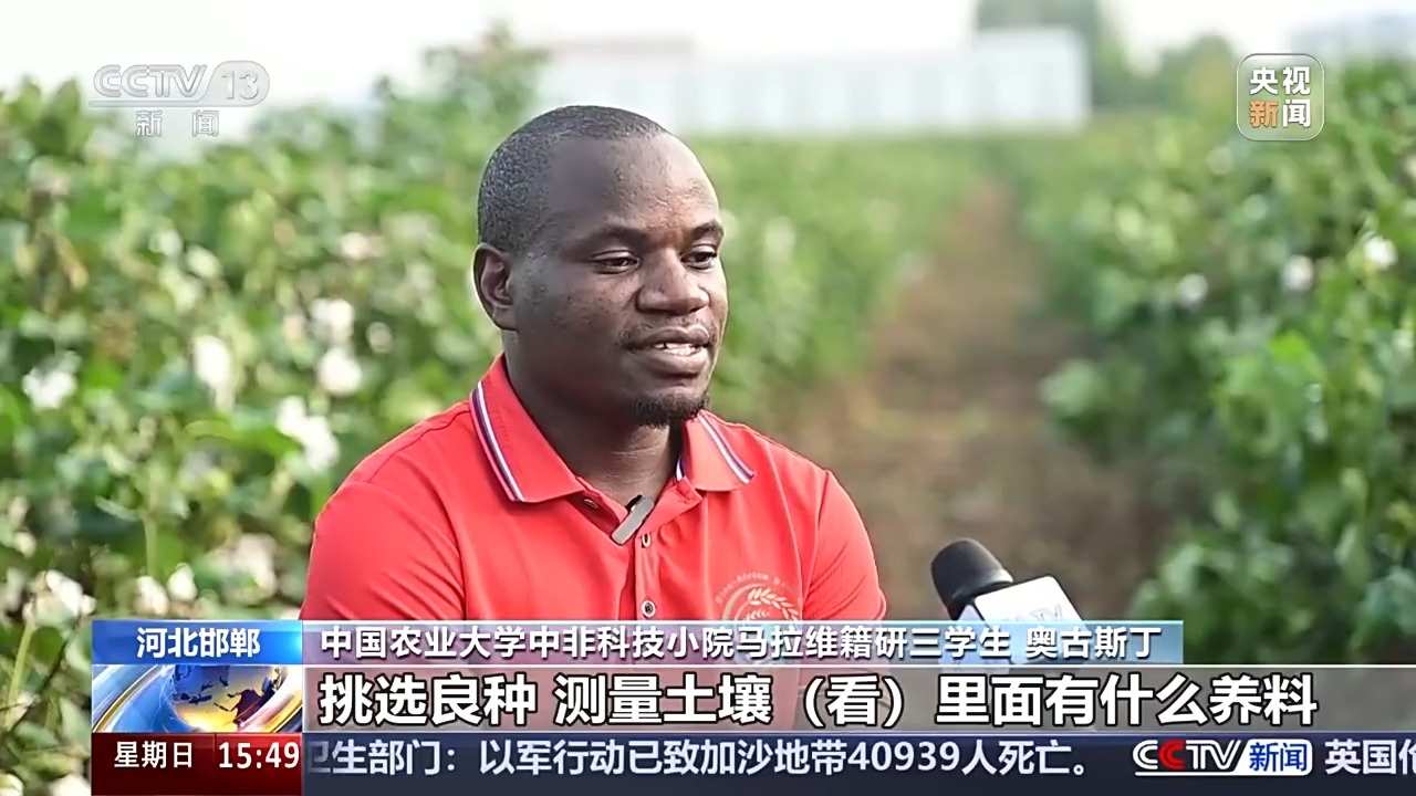 兴农密码!“科技小院”助力非洲农业现代化