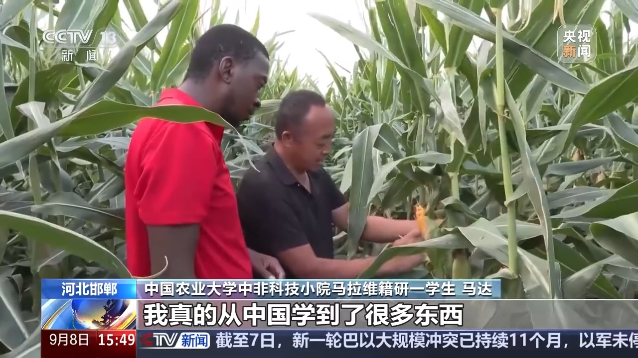 兴农密码!“科技小院”助力非洲农业现代化