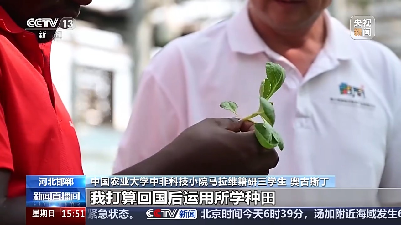 兴农密码!“科技小院”助力非洲农业现代化