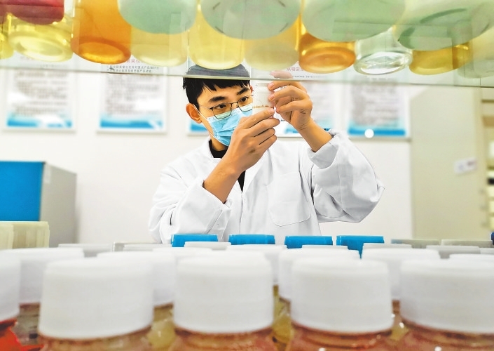 产业凝聚“向新力”(礼赞新中国 出彩大中原·商丘篇)