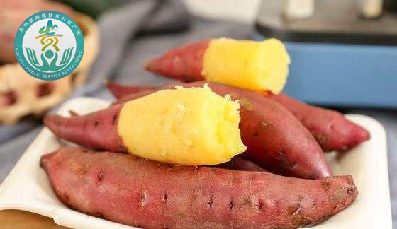 （大扶贫）被誉为“冠军蔬菜”的红薯，也是助力紫云县脱贫攻坚的“翘楚”