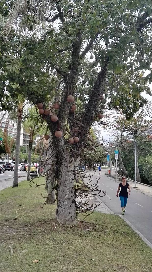 走，去西半球最有代表性的新兴市场国家看看→