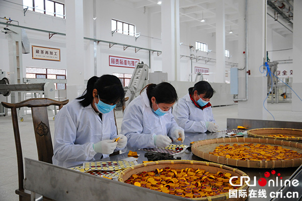 图片默认标题_fororder_藏茶生产（雨城区委宣传部--供图）