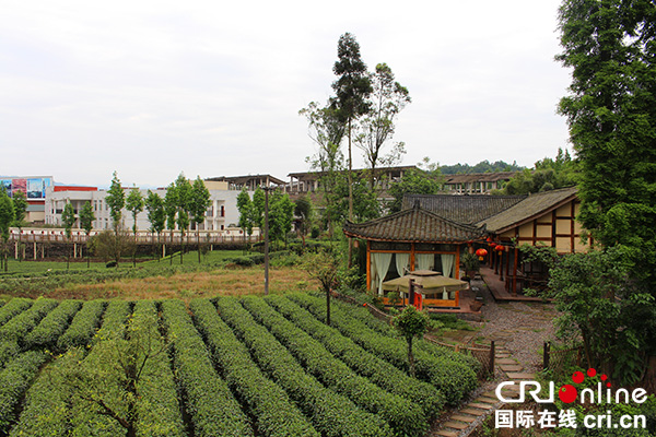 图片默认标题_fororder_雨城区合江镇茶园民宿（雨城区委宣传部--供图）