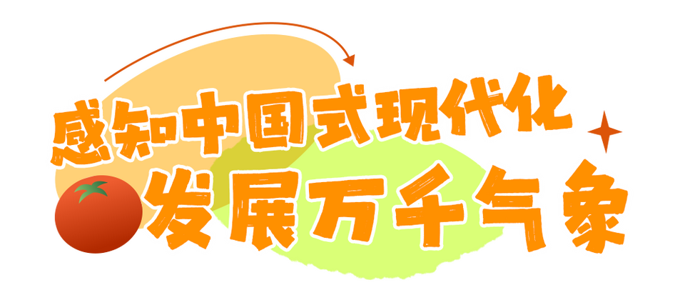 总台周末看点丨嘟~“丰收号”来了!