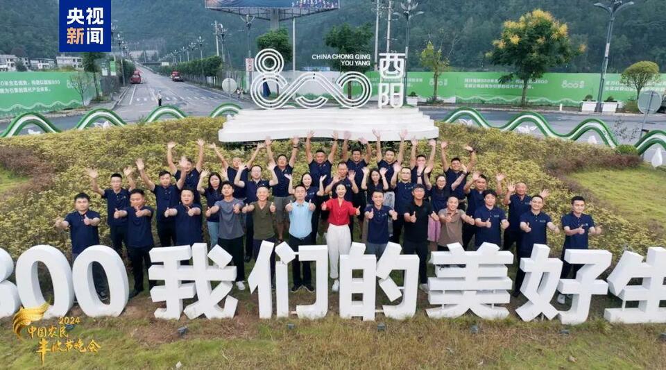 总台周末看点丨嘟~“丰收号”来了!