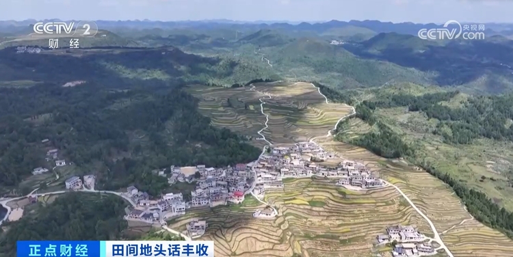 秋收正当时!新质生产力赋能农业生产 绘就金秋好“丰”景