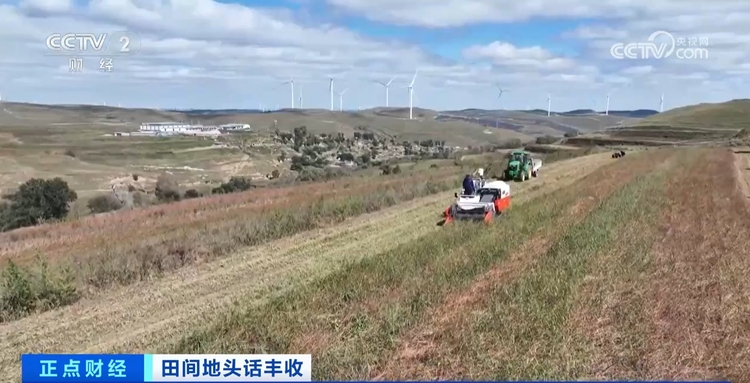 秋收正当时!新质生产力赋能农业生产 绘就金秋好“丰”景