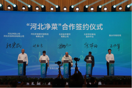 河北青县:“净菜进京”深化京津冀产销合作 助力乡村振兴_fororder_河北青县:“净菜进京”深化京津冀产销合作 助力乡村振兴770