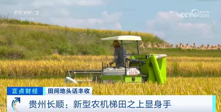 秋收正当时!新质生产力赋能农业生产 绘就金秋好“丰”景