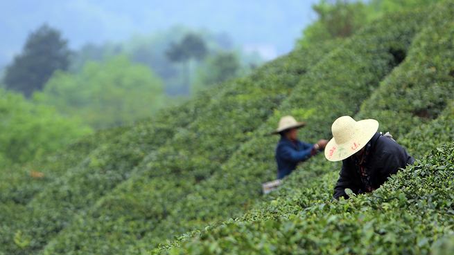 图片默认标题 图片默认标题_fororder_图3