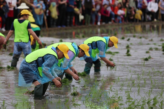 图片默认标题 图片默认标题_fororder_图5