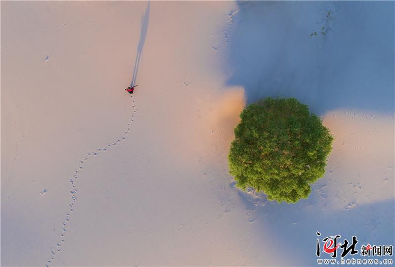 大河之北·海洋篇:千里海岸