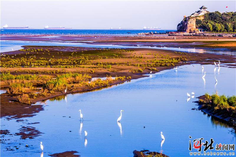 大河之北·海洋篇:千里海岸