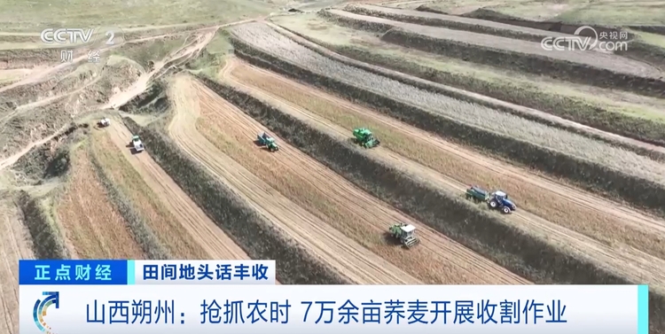秋收正当时!新质生产力赋能农业生产 绘就金秋好“丰”景