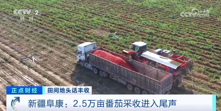 秋收正当时!新质生产力赋能农业生产 绘就金秋好“丰”景