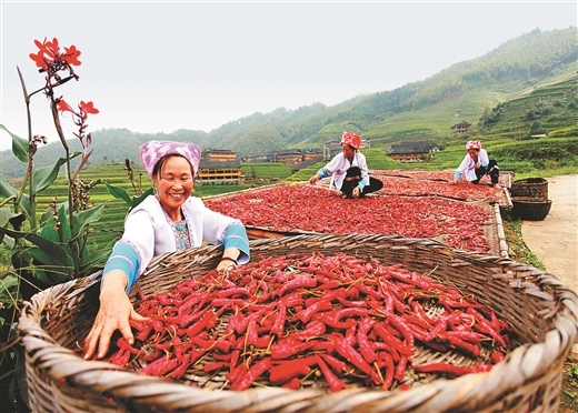 桂林龙胜“国家地理标志”富硒农产品展示