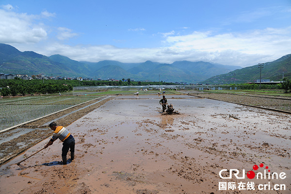 图片默认标题_fororder_平田