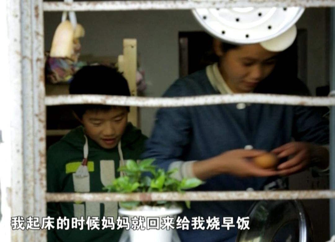 一碗青菜肉丝面，看完我哭了