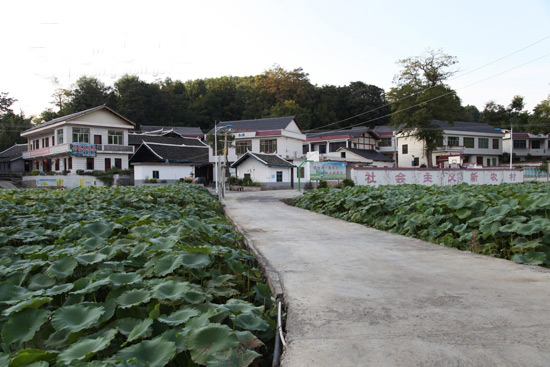 （中首）美了美了！贵州8村入选"国家级"最美休闲乡村名单