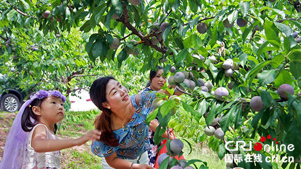 图片默认标题_fororder_3