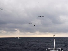 日媒：日本针对钓鱼岛强化合作 演练拦截渔民登岛