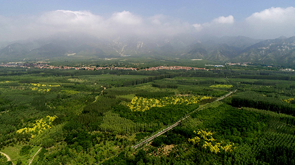 （标题+内容 均作了修改）北京延庆荣膺“国家森林城市”称号