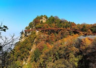 【旅游 显示图在稿件最下方】颜值担当!少华山玻璃栈道秋色美如画 引游客驻足 【旅游 显示图在稿件最下方】颜值担当!少华山玻璃栈道秋色美如画 引游客驻足