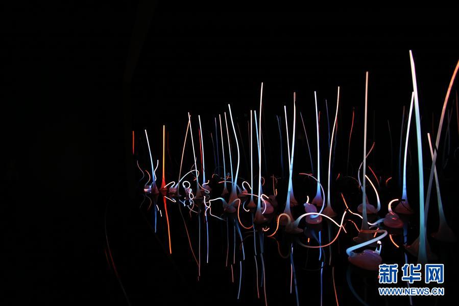 #新华网#西雅图：色彩斑斓的玻璃世界