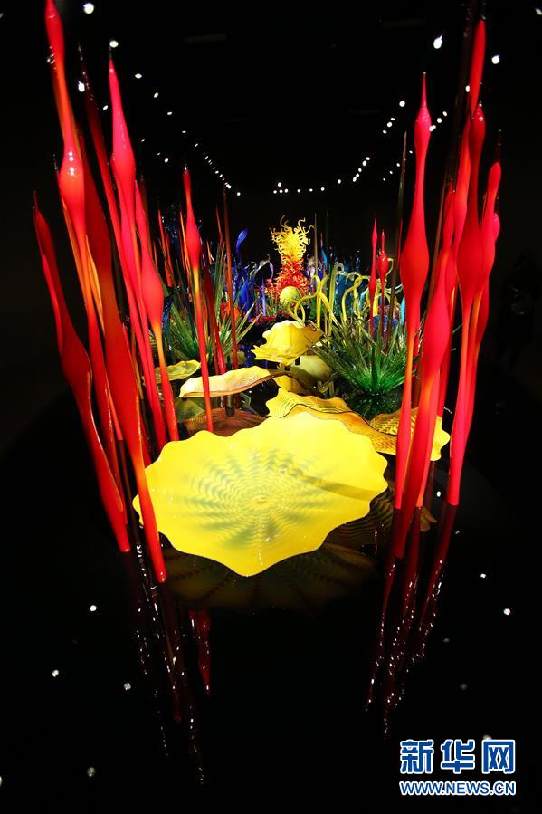 #新华网#西雅图：色彩斑斓的玻璃世界