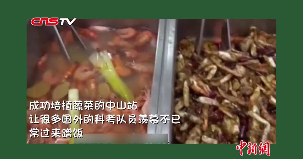 【中新社】种菜天赋哪家强？实力已经不允许我们低调了！