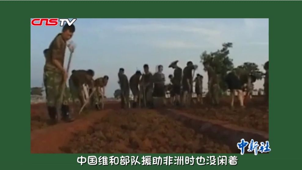 【中新社】种菜天赋哪家强？实力已经不允许我们低调了！