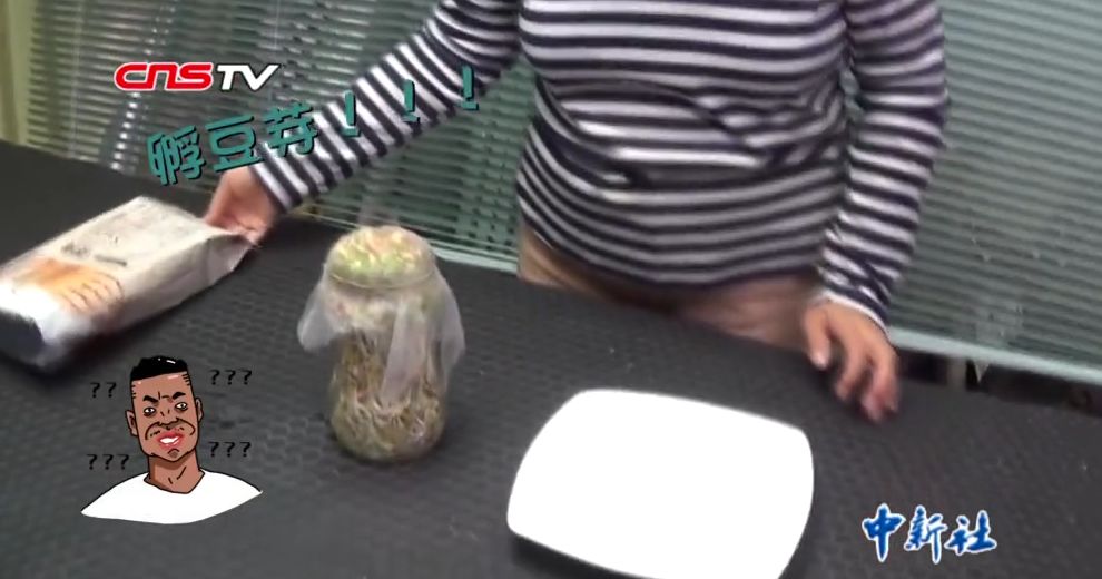 【中新社】种菜天赋哪家强？实力已经不允许我们低调了！