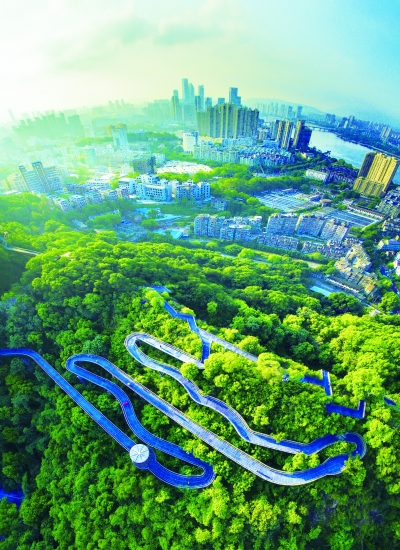 福建省创建“森林城市”结硕果