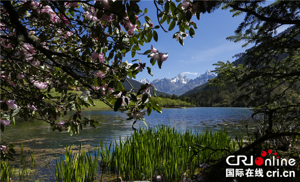 图片默认标题_fororder_杜鹃伴圣湖-摄影-代奇元