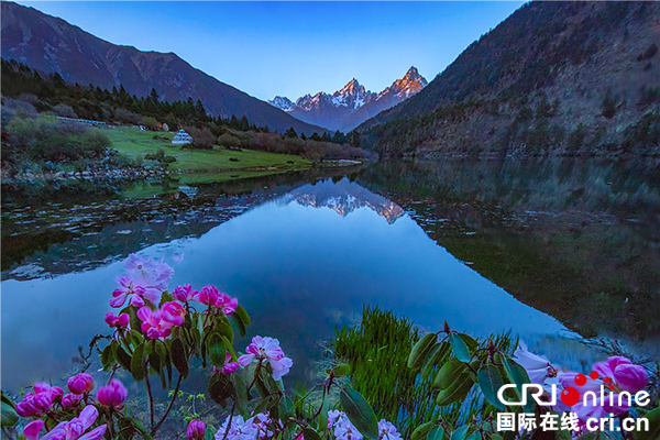 图片默认标题_fororder_七色海花正开-摄影-郑雨晴